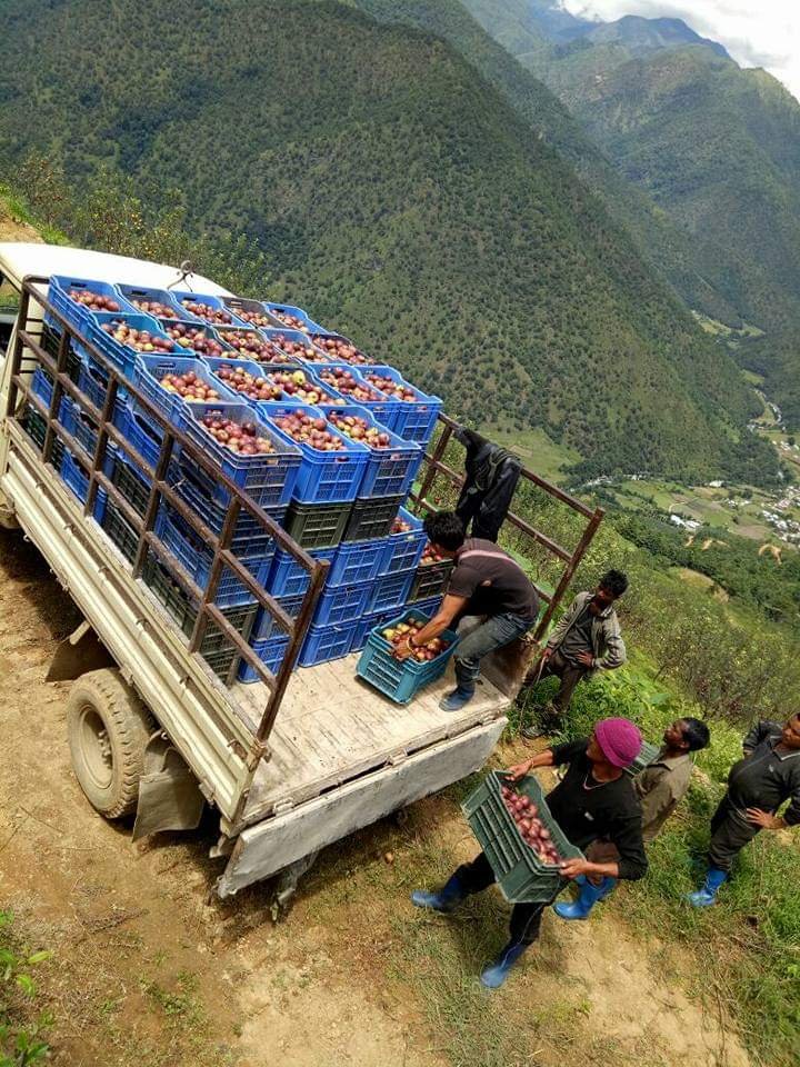 Mountain view from Apple Orchard in Rungjapam, Sangti Valley